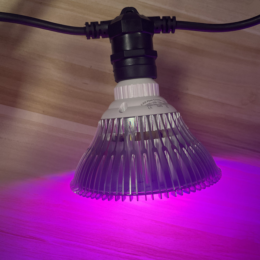 10 メートルケーブル LED ストリング商用グレード防水  - Outdoor Lighting Extension Cord のレビューと価格