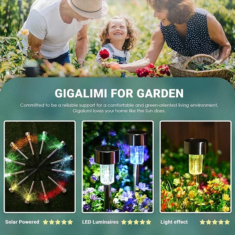 ソーラー屋外ライトガーデンランプ太陽光発電防水風景パス屋外庭 - Outdoor Lighting Ground のレビューと価格