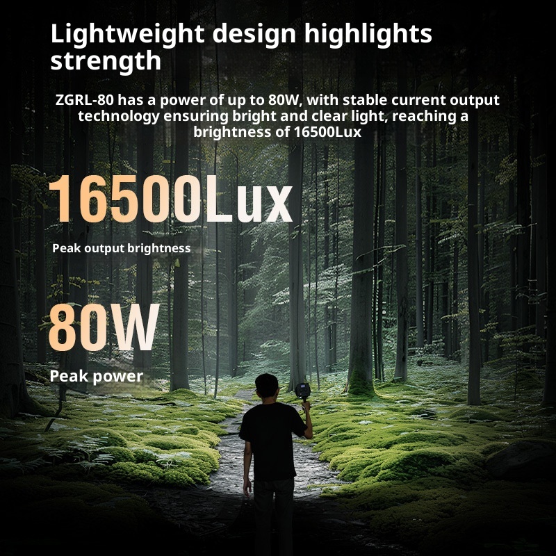 ZGRL80 80W COB LEDビデオライト ハンドヘル - Outdoor Lighting For Photography のレビューと価格